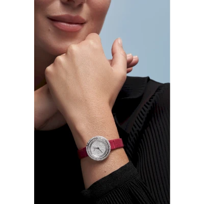 Piaget Possession Piaget Possession