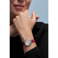 Piaget Possession Piaget Possession