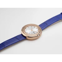 Piaget Possession