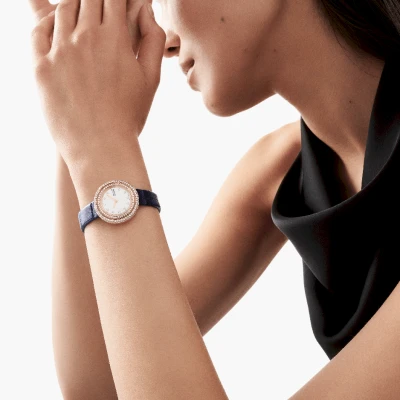 Piaget Possession