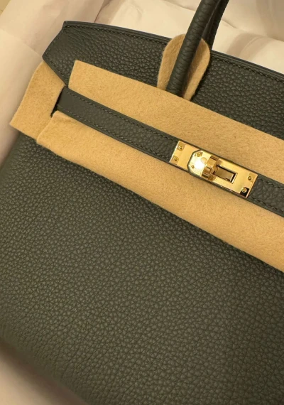 Hermes Birkin 25 Vert Mangrove / Togo / ghw W