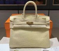 Hermes Birkin 25 Vanilla / Matte Alligator / phw B Hermes Birkin 25 Vanilla / Matte Alligator / phw B