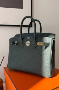 Hermes Вirkin 25 Vert mangrove / Togo / Ghw W Hermes Вirkin 25 Vert mangrove / Togo / Ghw W
